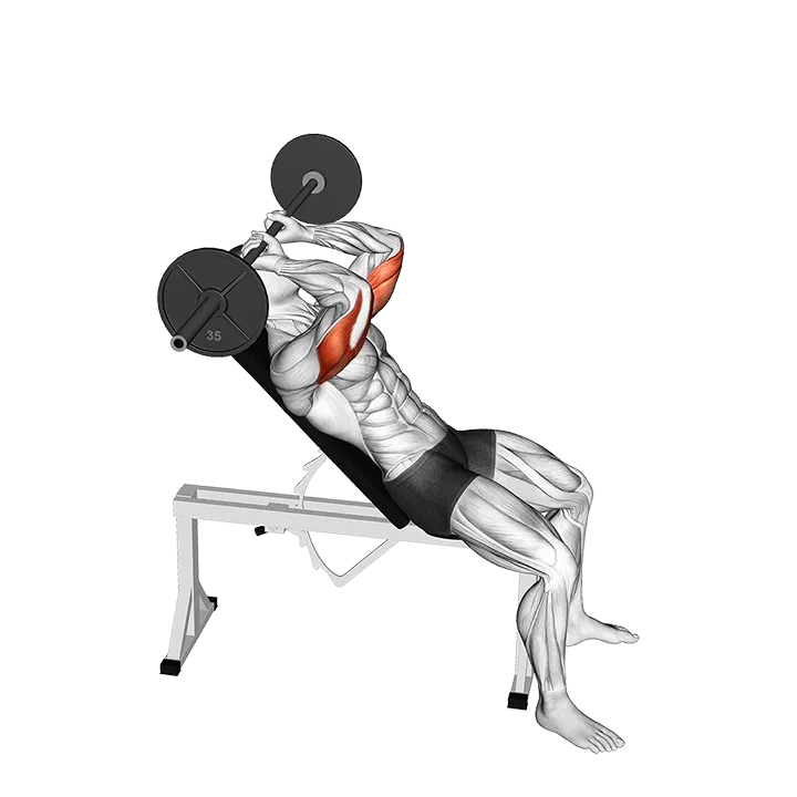 Barbell Incline Triceps Extension Skull Crusher exercise animation (Male)