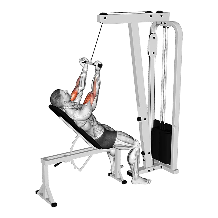 Cable Incline Close grip Curl exercise animation (Male)