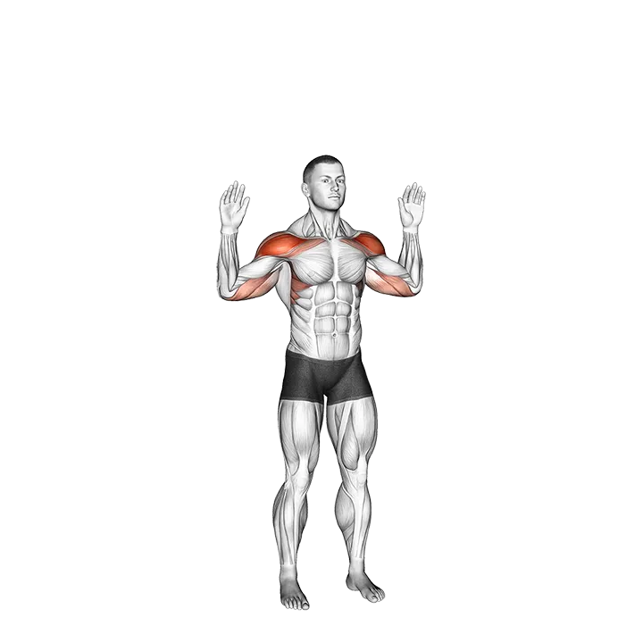 Bodyweight Standing Military Press exercise animation (Male)