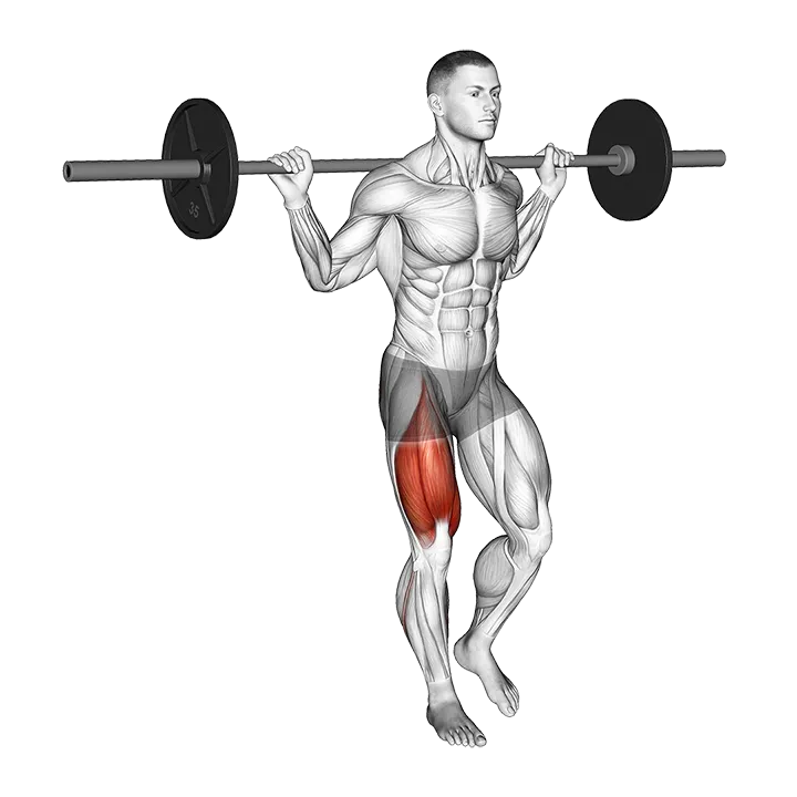 Barbell Single Leg Squat exercise animation (Male)