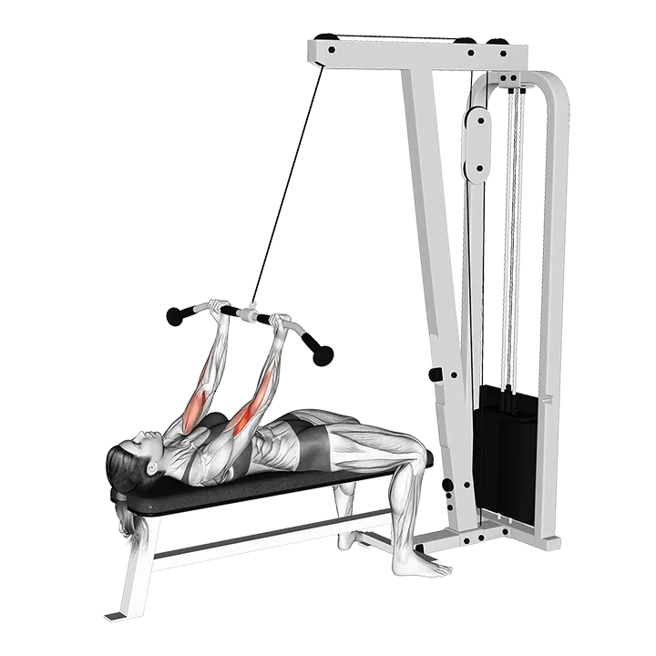 Cable Lying Regular grip Curl exercise animation (Female)