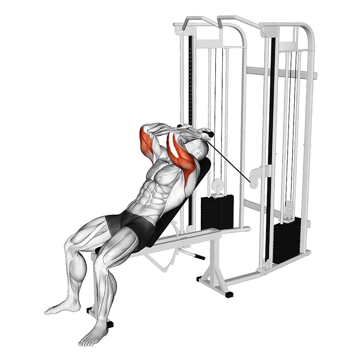Cable Incline Skull Crusher exercise animation (Male)