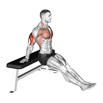 Bench Dip on floor (VERSION 2)