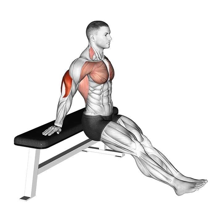 Bench Dip on floor (VERSION 2) exercise animation (Male)