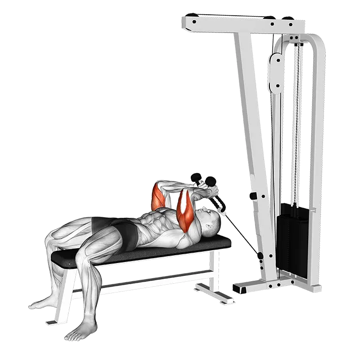 Cable Lying Triceps Extension (with Rope) exercise animation (Male)