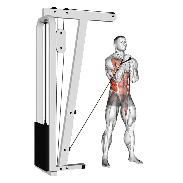Cable horizontal Pallof Press (VERSION 2) exercise animation (Male)