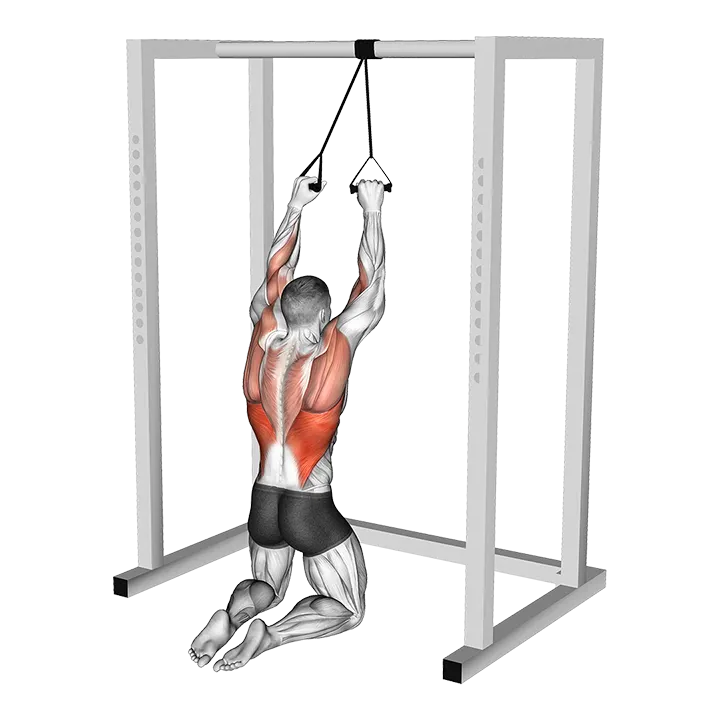 Band Kneeling Lat Pulldown exercise animation (Male)