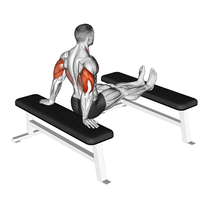 Bench Dip with legs on bench exercise animation (Male)