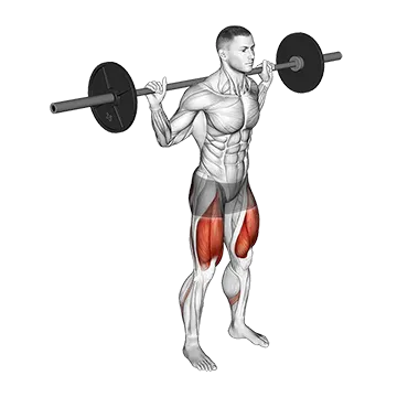 Barbell Squat 2 sec Hold
