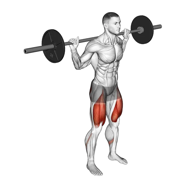 Barbell Squat 2 sec Hold exercise animation (Male)