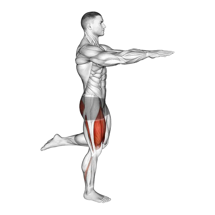 Counterbalanced Skater Squat exercise animation (Male)