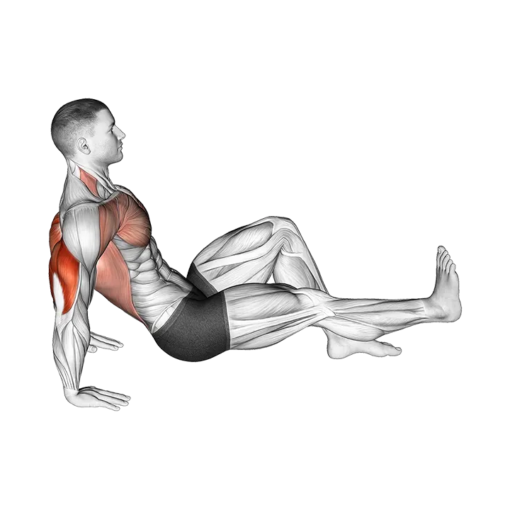 Single Leg Dip on floor exercise animation (Male)