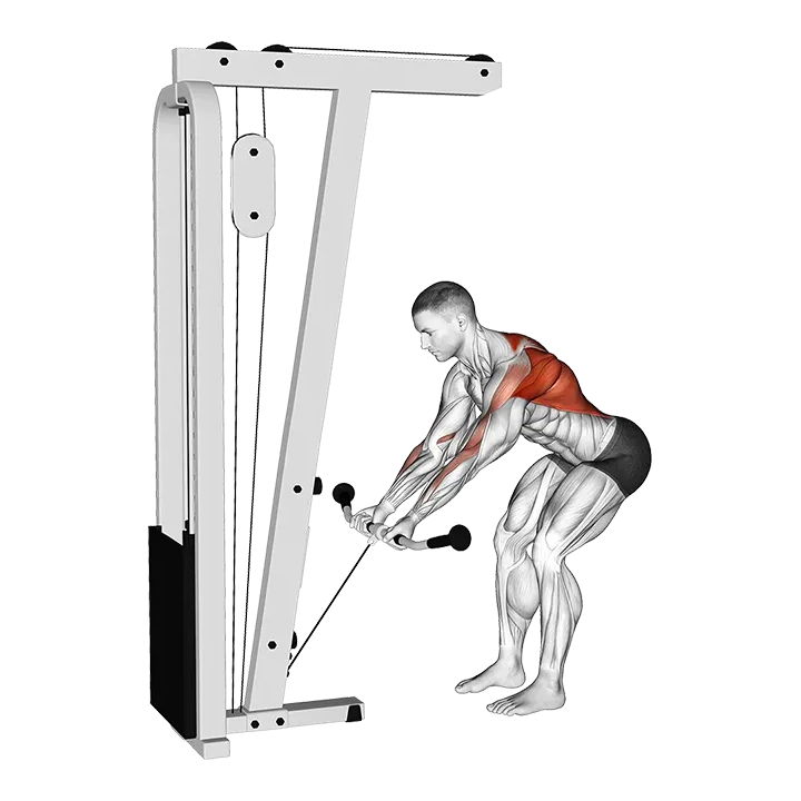 Cable Bent-Over Reverse Grip Row exercise animation (Male)