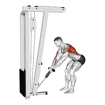 Cable Bent-Over Row with Rope Attachment