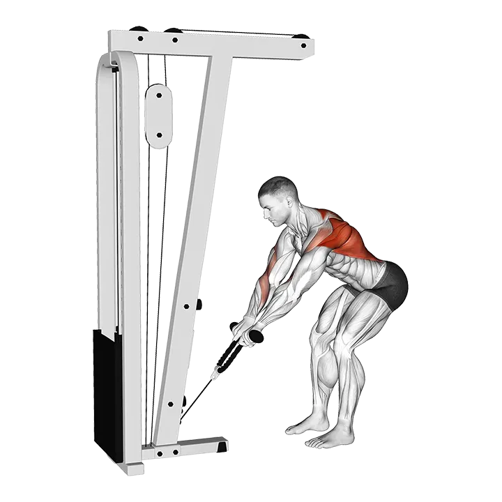 Cable Bent-Over Row with Rope Attachment exercise animation (Male)