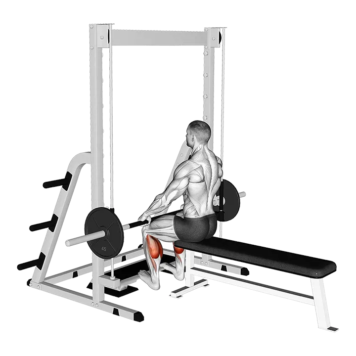Smith Seated Calf Raise exercise animation (Male)