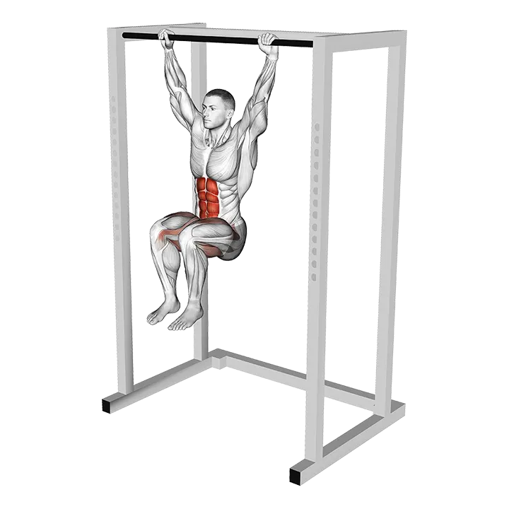 Hanging Deadbug exercise animation (Male)