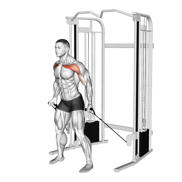 Cable Standing Alternate Low Fly exercise animation (Male)