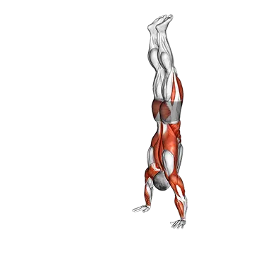 Handstand Walk