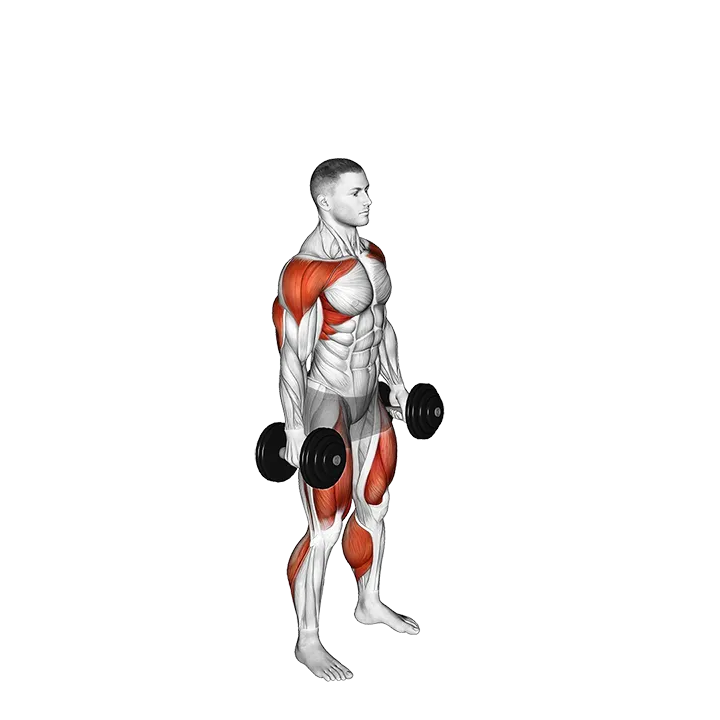 Dumbbell Hang Clean and Jerk exercise animation (Male)