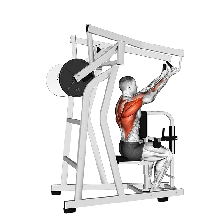 Lever Reverse Grip High Row (plate loaded) exercise animation (Male)