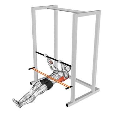 Resistance Band Inverted Row