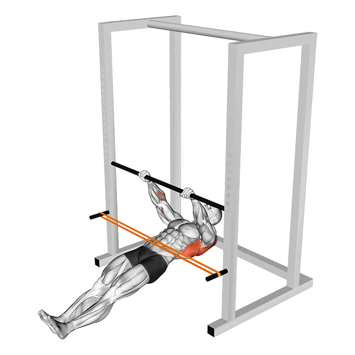 Resistance Band Inverted Row exercise animation (Male)