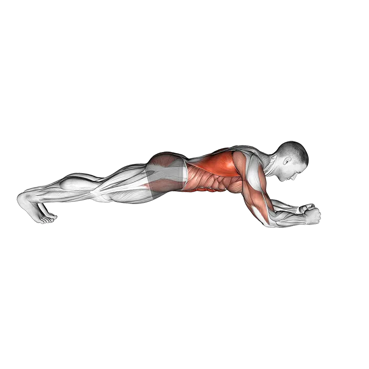 Body Saw Plank exercise animation (Male)