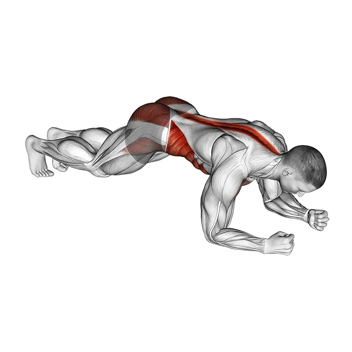 Hip Roll Plank exercise animation (Male)