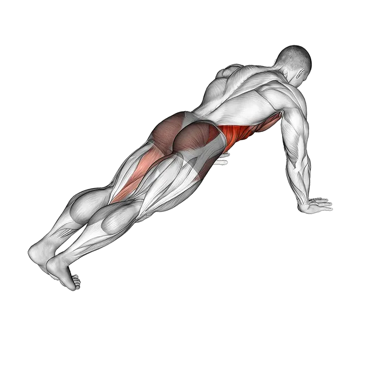 Leg Extension Plank exercise animation (Male)