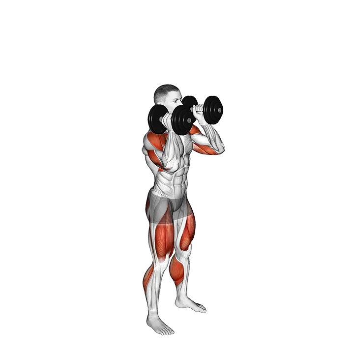 Dumbbell Push Jerk exercise animation (Male)