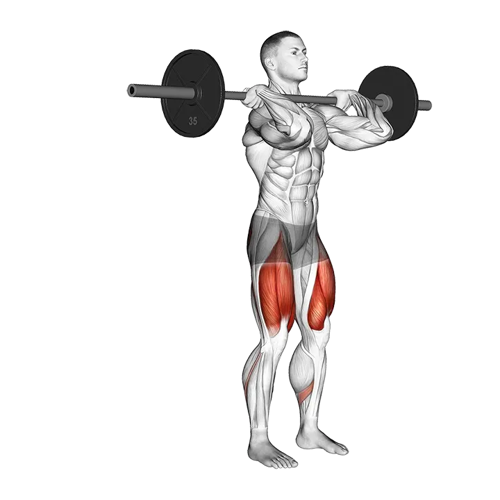 Barbell Front Rack Rear Lunge exercise animation (Male)