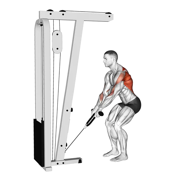 Cable Low Row with Rope Attachment exercise animation (Male)