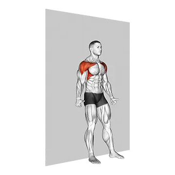 Alternate Shoulder Flexion Back to Wall