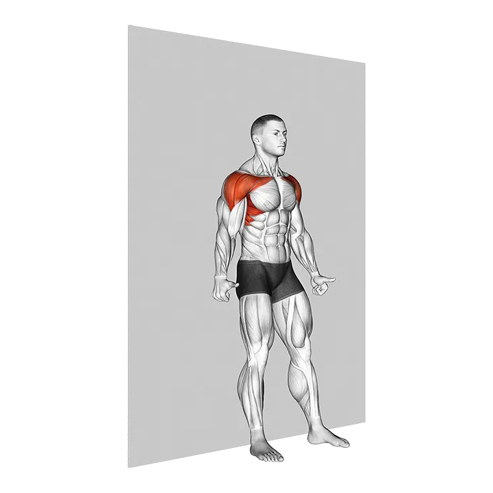 Alternate Shoulder Flexion Back to Wall exercise animation (Male)