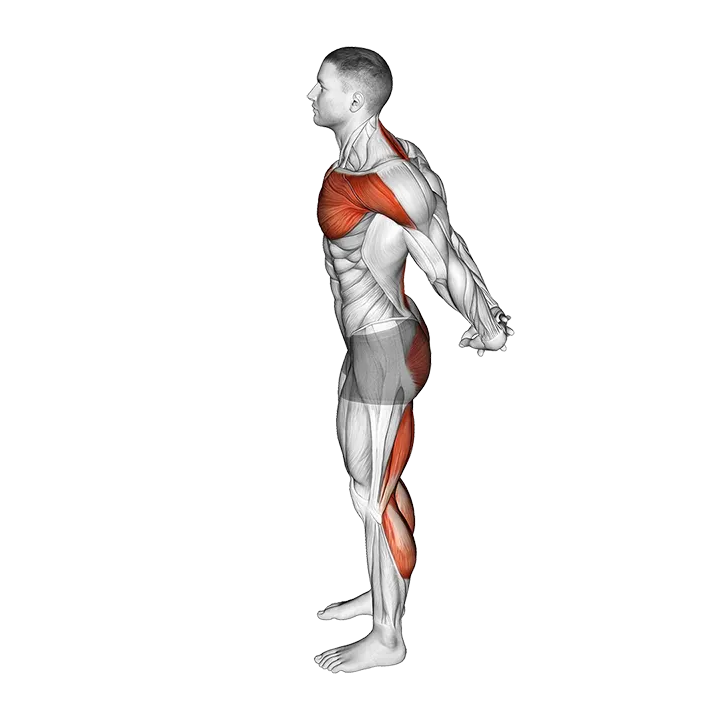 Standing Seal Yoga Pose exercise animation (Male)