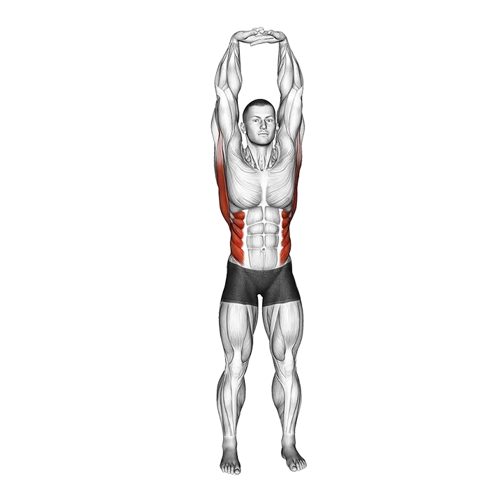 Swaying Palm Tree Yoga Pose exercise animation (Male)