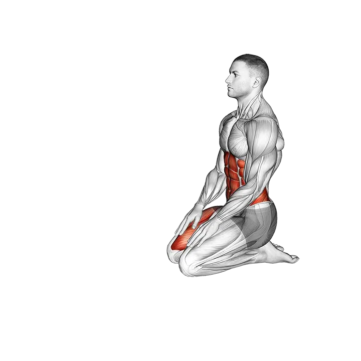Tiger Yoga Pose exercise animation (Male)