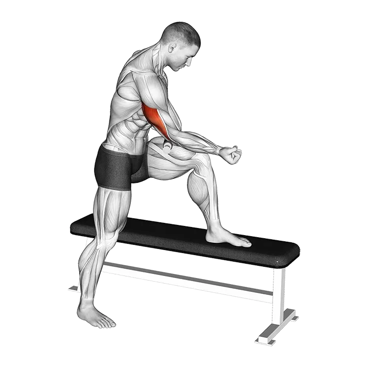 Tiger Tail Triceps exercise animation (Male)