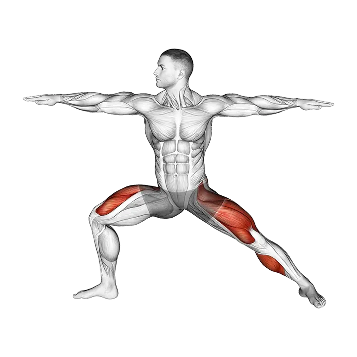 Warrior II Yoga Pose exercise animation (Male)