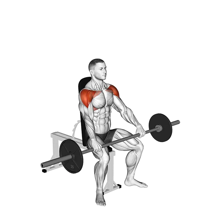 Barbell Seated High Front Raise exercise animation (Male)