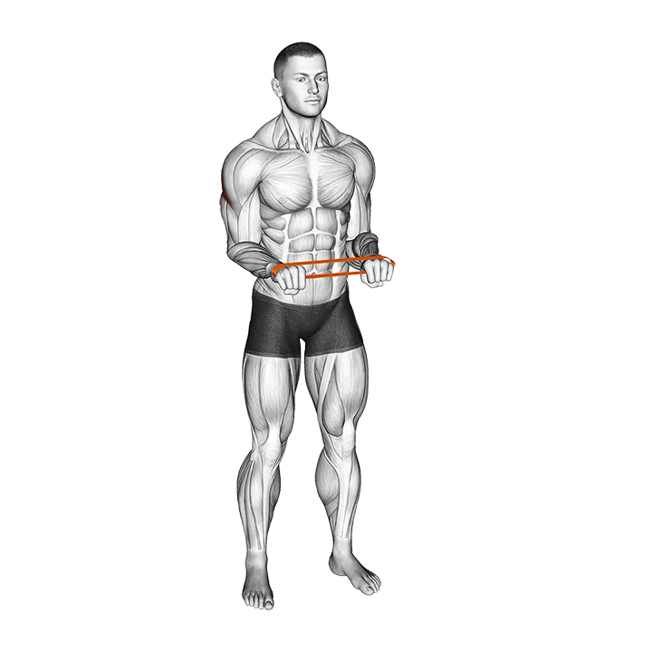 Resistance Band Pullapart (Pronated at 90 Degrees) exercise animation (Male)