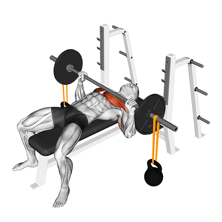 Barbell Bench Press with Band Suspended Kettlebell exercise animation (Male)