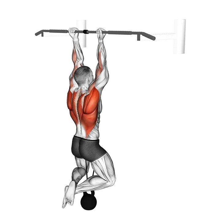 Band Resisted Chin-Up exercise animation (Male)