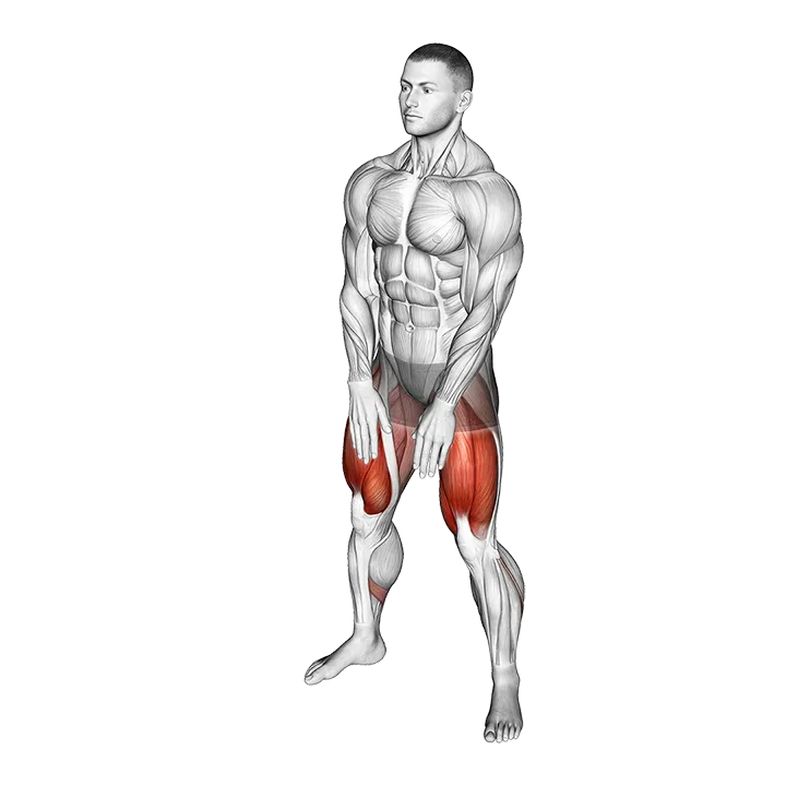 Sumo Squat Floor Touch exercise animation (Male)