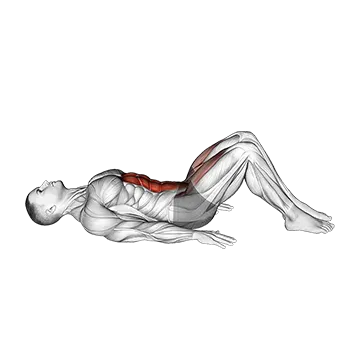 Lying Leg Raise (Modified)