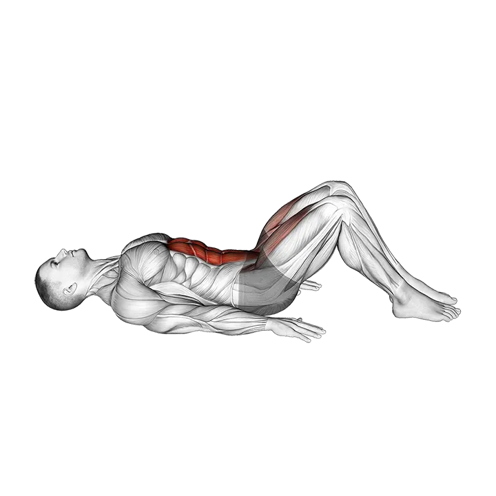 Lying Leg Raise (Modified) exercise animation (Male)
