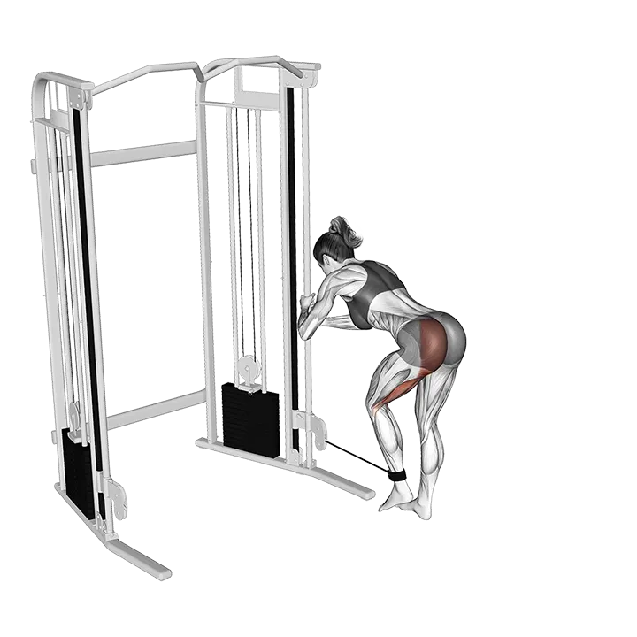 Cable Donkey Kickback exercise animation (Female)