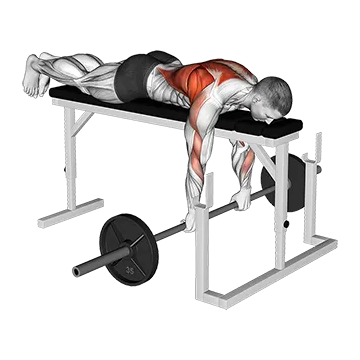 Barbell Lying Close-Grip Overhand Row on Rack