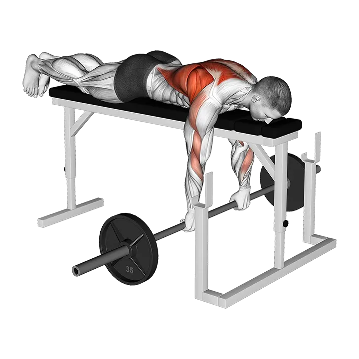 Barbell Lying Close-Grip Overhand Row on Rack exercise animation (Male)
